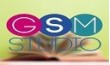 Manufacturer - GSM